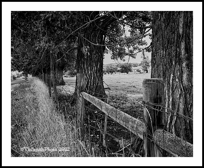 Wood Fence (Villages-12)
