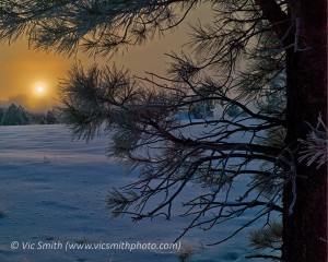 Snowy Sunrise