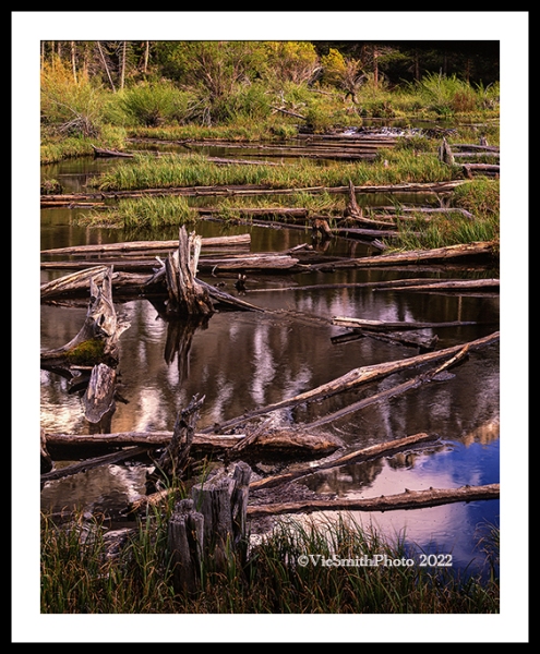 After The Flood
