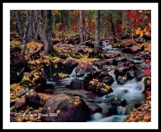 Fall Water