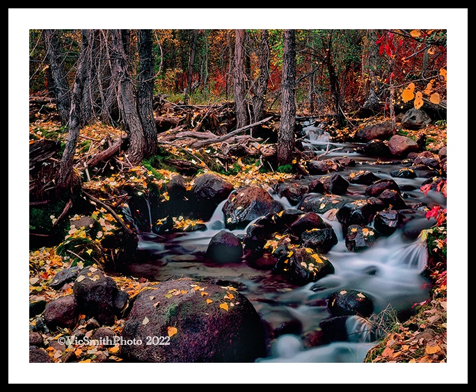 Fall Water