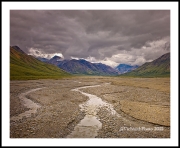 Toklat River(Alaska-14)