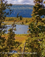 Moose Water (Alaska-14)