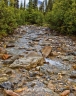 Silver Creek (Alaska-14)