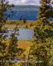 Moose Water (Alaska-14)