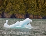 Iceberg (Alaska-14)