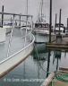 Harbor (Alaska-14)