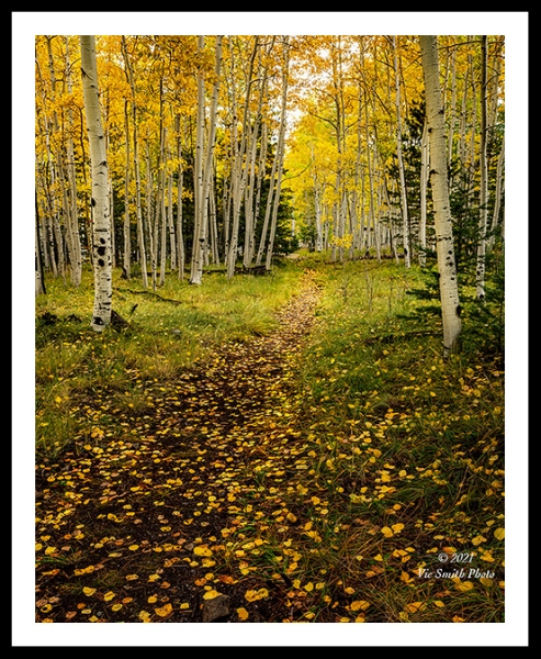 GFX22__DSF0985aa2110a_web2Wf