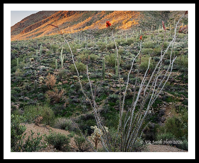 GFX30__DSF6114a2601_webW2f