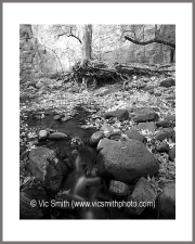 Small Flow (Arizona-28)