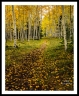 GFX22__DSF0985aa2110a_web2Wf