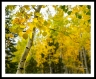 GFX22__DSF0992a2110a_web2Wf