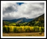GFX22__DSF1003a2110a_web2Wf