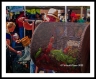 L3_L1002645a2209av_web2Wf