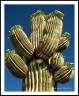 GFX30__DSF5135a2504a_web2Wf