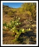 GFX30__DSF6101aa2601_web2Wf GFX30__DSF6101aa2601_web2Wf