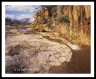 LF_L05022007a2506a_web2Wf