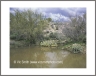 Surprise Water (Arizona-28)