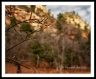 GFX2__DSF0205aa2606a_web2Wf