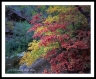 LF_L3101807a2606a_web2Wf