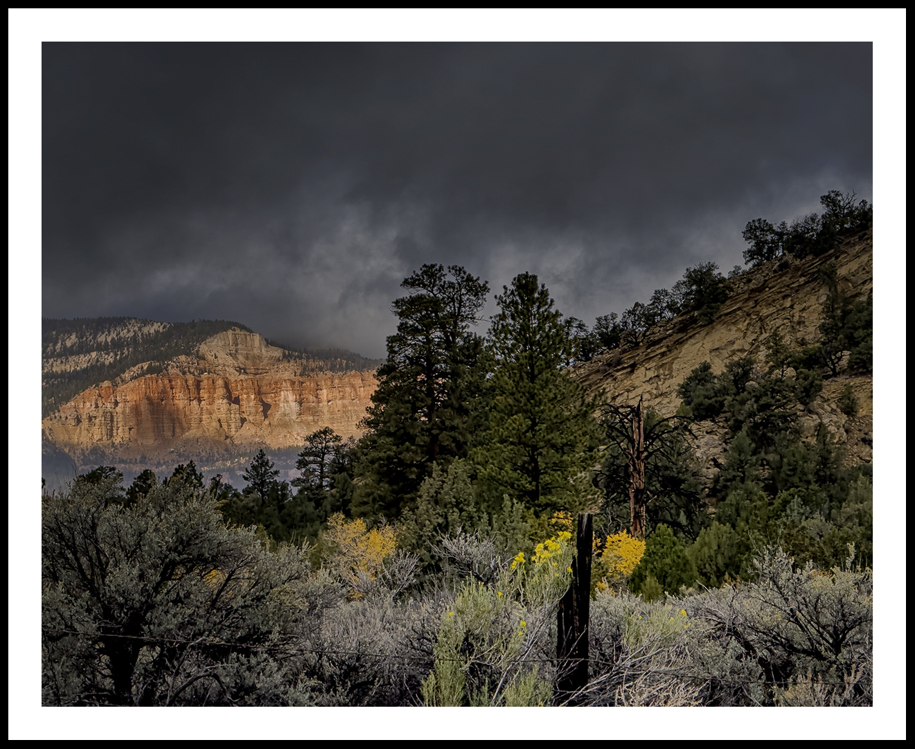 Bryce Canyon  in Table Cliffs Plateau
