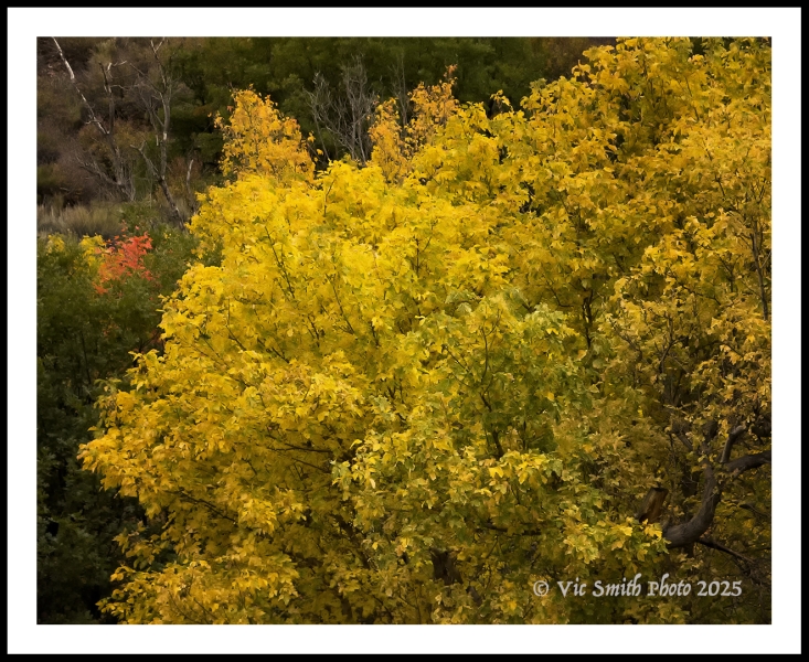 V16P_IMG_1405a2510a_webWf