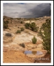 Waterhole