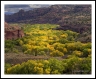 Escalante River