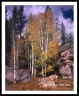 LF_L05100210a2605a_web2Wf