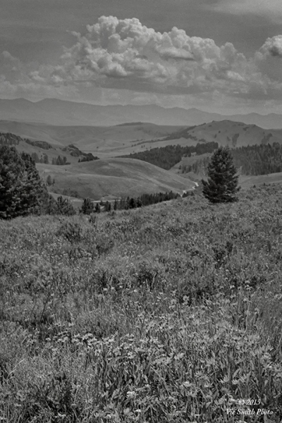 To The North (Montana-18)