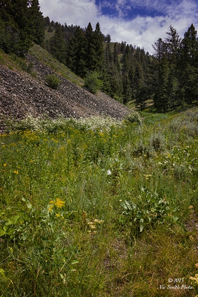 Hidden Glen (Idaho-18)