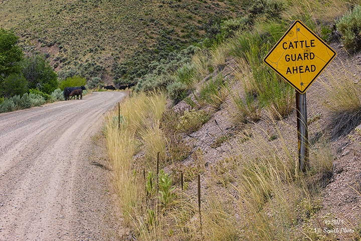 Locals (Idaho-18)