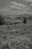 To The North (Montana-18)