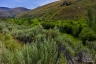 Verdant (Idaho-18)