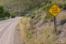 Locals (Idaho-18)