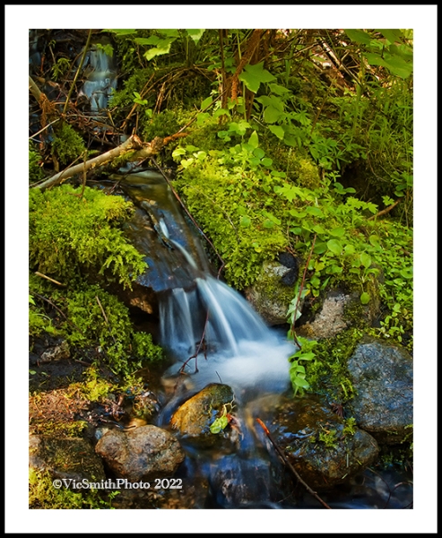 DMR_L1080870a2206a_web2Wf