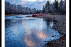 Bitterroot 81