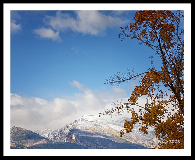 GFX30__DSF6067a2510a_web2Wf