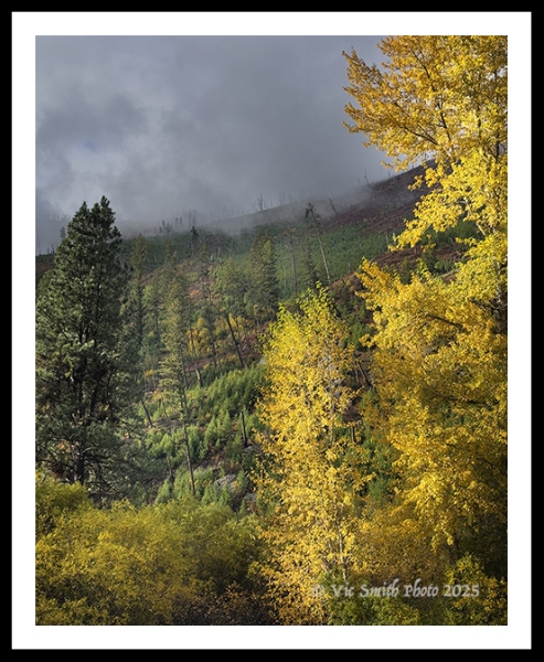 V16P_IMG_1338a2510a_web2Wf