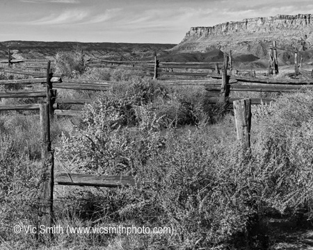 Brush Corral (VermilionCliffs-11)