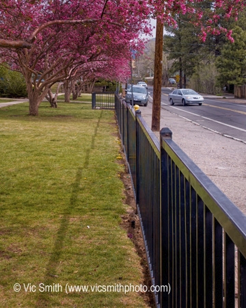 Thin Line (Arizona-11)