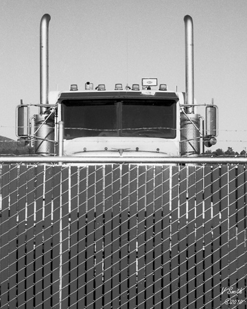 Captured (Arizona-11)