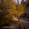 Mulholland(CaSouth-45)