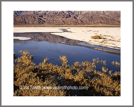 Water  (DeathValley-35)