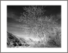 LF_L0123001a2606a_resize