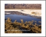 Water  (DeathValley-35)
