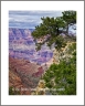 Hance Trailhead (GrandCanyon-36)