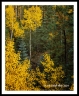 (GrandCanyon-36)