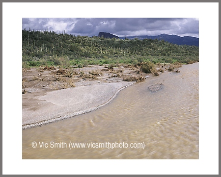 Desert Water (Arizona-28)