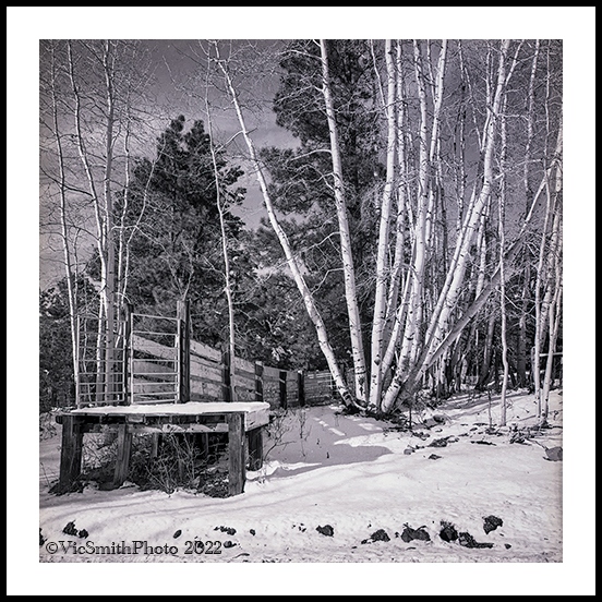 Dock (Arizona-28)